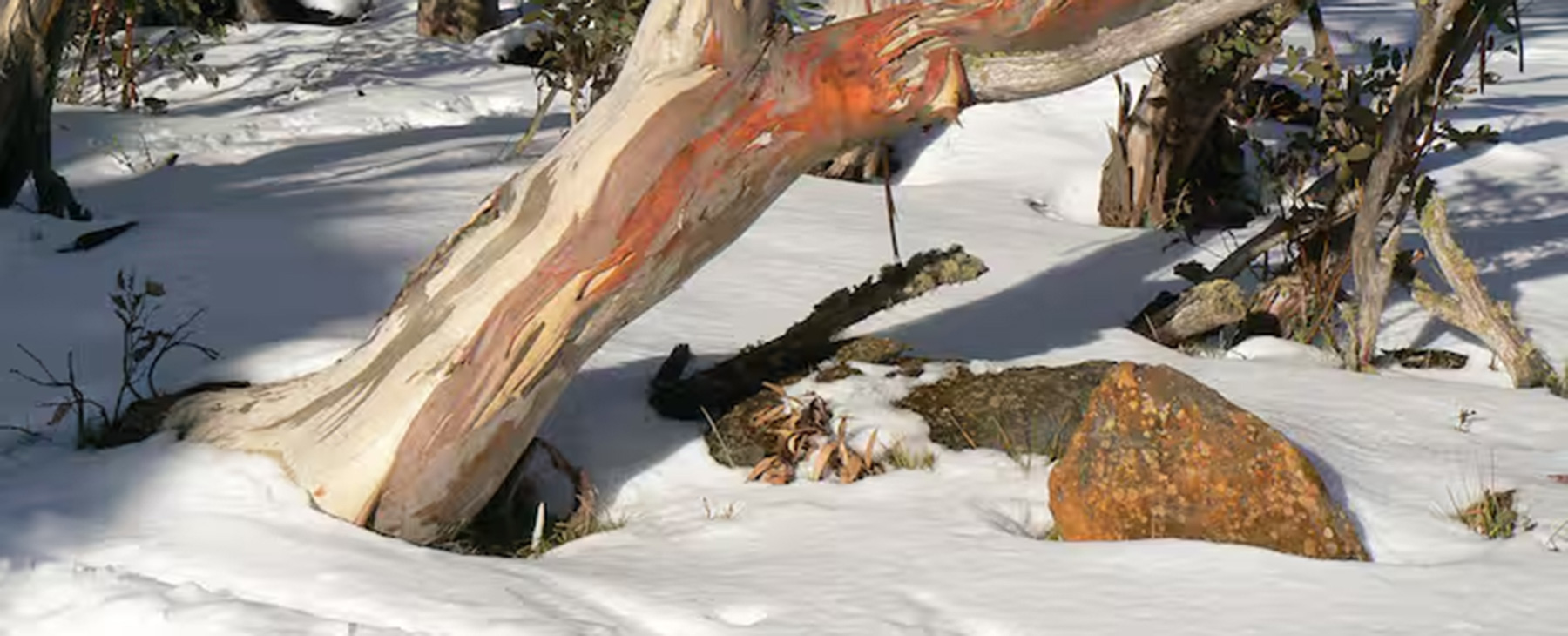 16-Mt-Buffalo---45-minutes-to-the-top.--Or-you-can-go-to-Mt-Hotham-or-Falls-Creek-for-more-skiiing