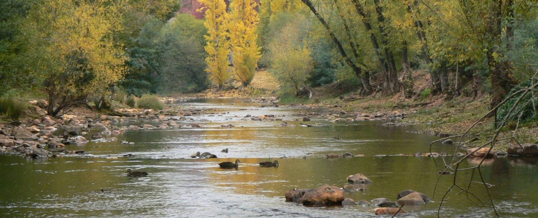 38.--The-Ovens-River-and-its-miles-of-riverside-walks-are-150m-away