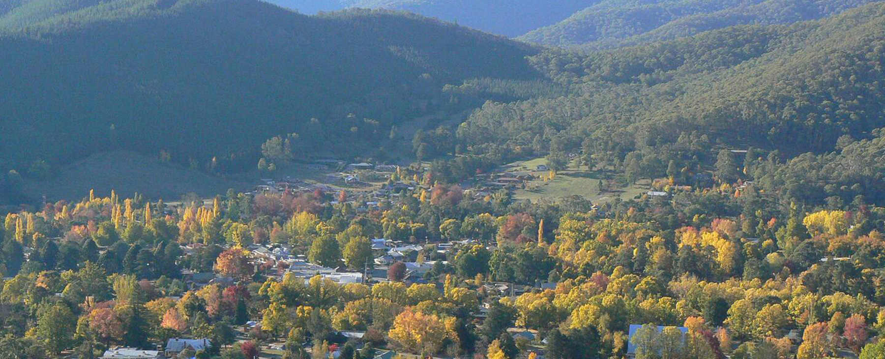 24.--Bright-with-Mt-Feathertop-in-the-background