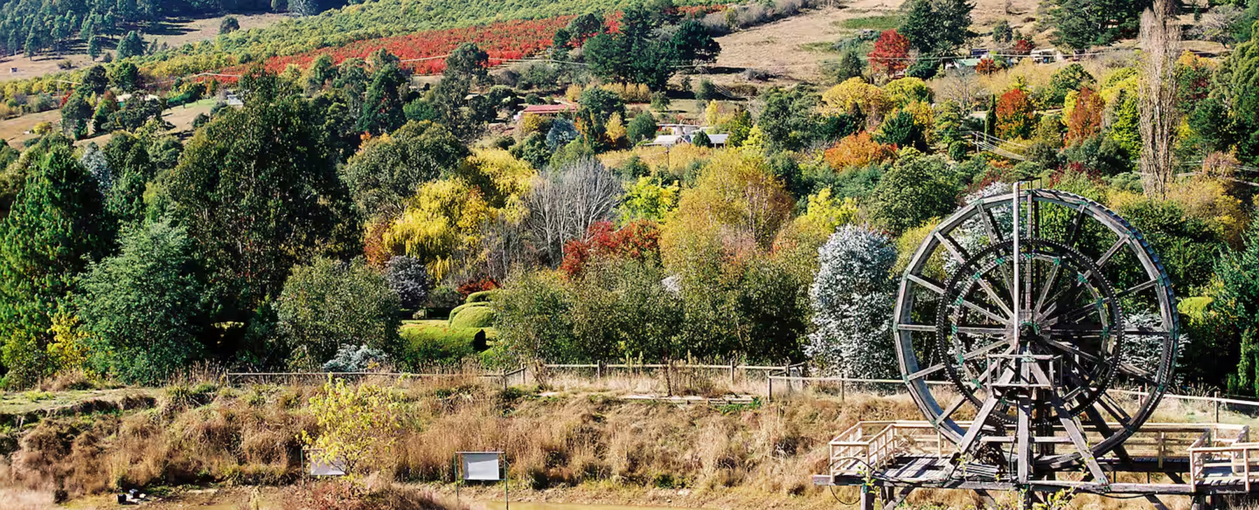 25--Our-valley---the-most-beautiful-in-Victoria