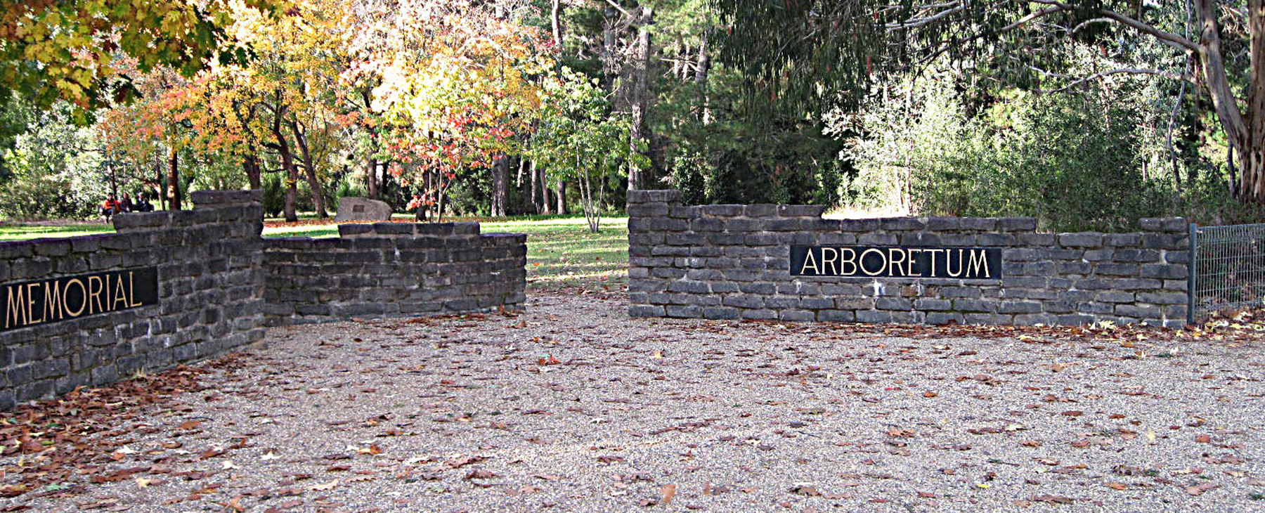 9a-100m-to-huge-dog-park