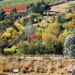 17-Our-valley-the-most-beautiful-in-Victoria