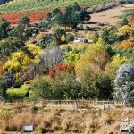 42.--Our-valley---the-most-beautiful-in-Victoria