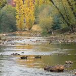 20-The-Ovens-River-and-riverside-walks-is-150m-away