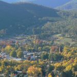 24.--Bright-with-Mt-Feathertop-in-the-background