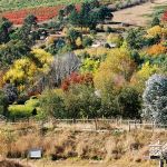 25--Our-valley---the-most-beautiful-in-Victoria