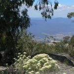 14-Mt-Buffalo-Bush-Walks.--40-minutes-to-the-top